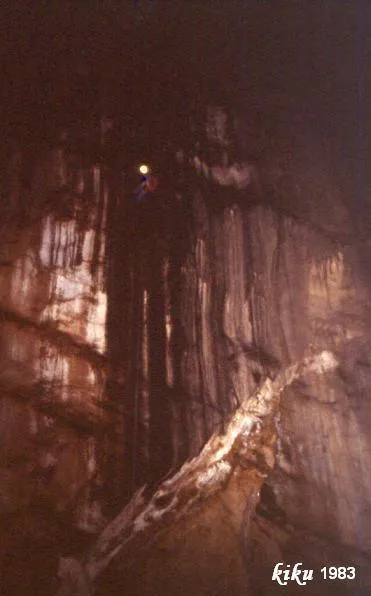 Photographie de BOIXEGUER, GRALLER DEL (3 sur 18)