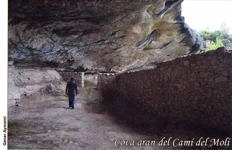 Fotografia de CAMÍ DEL MOLÍ, COVA GRAN DEL (2 de 3)