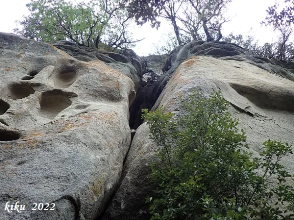 Photograph of PUIG DE LES BALMES, COVA MITJA DEL (3 of 3)