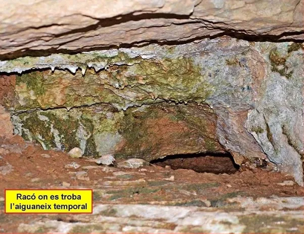 Fotografia de FIGUERA, BALMA DE LA (4 de 4)