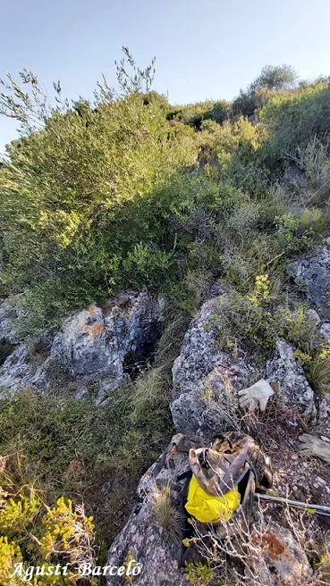 Fotografía de CASTELLETS, AVENC DELS (1 de 2)