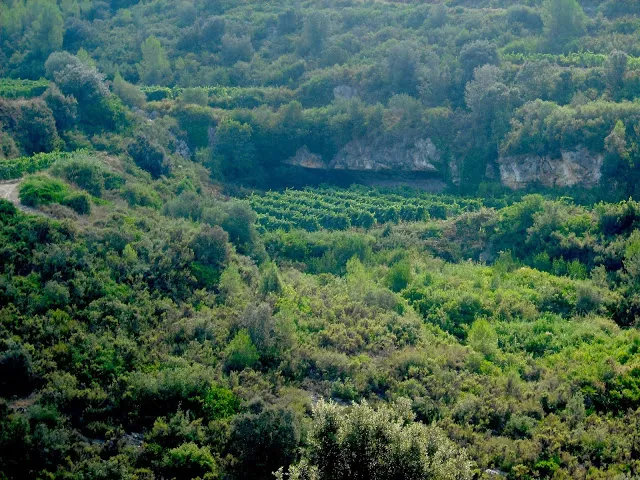 Fotografia de LLARGA, COVA (2 de 3)