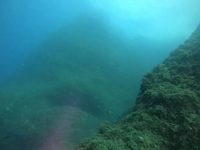 Fotografía de PUNTA GROSSA, COVA SUBMARINA DE LA (2 de 5)