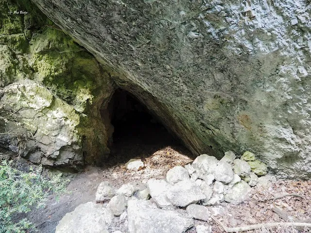 Fotografia de BARRANC DE LES TOSQUES, COVA DEL (1 de 2)