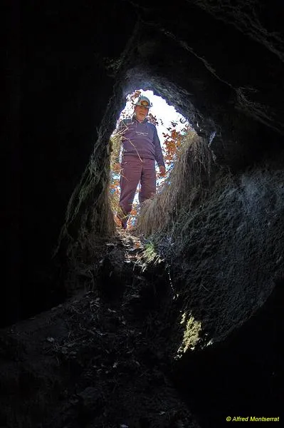 Fotografia de CASTELL DE PALMEROLA, COVA DEL (4 de 8)