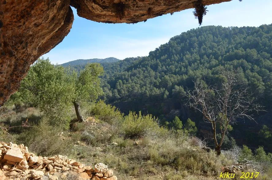 Photographie de PALLA, COVA DE LA (2 sur 2)
