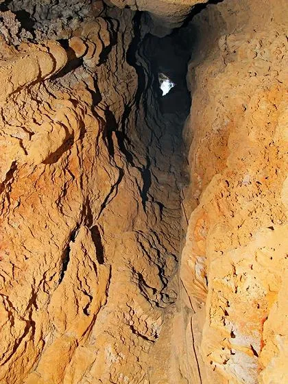 Photograph of ESMENADOR I DEL TOSSAL DEL JONC, AVENCS DE L' (7 of 7)