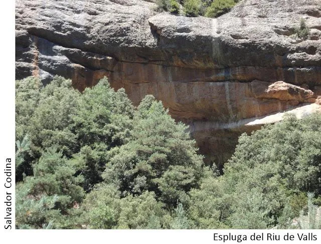 Fotografia de RIU DE VALLS, ESPLUGA DE (1 de 2)