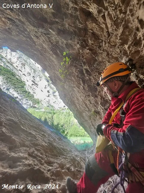 Fotografia de ANTONA, COVES D' (15 de 17)