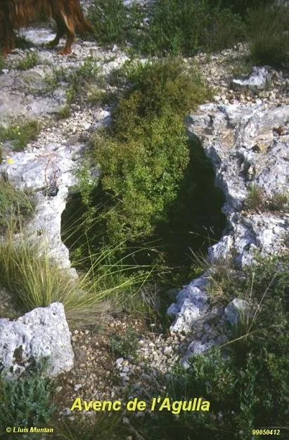 Fotografía de AGULLA, AVENC DE L' (2 de 3)