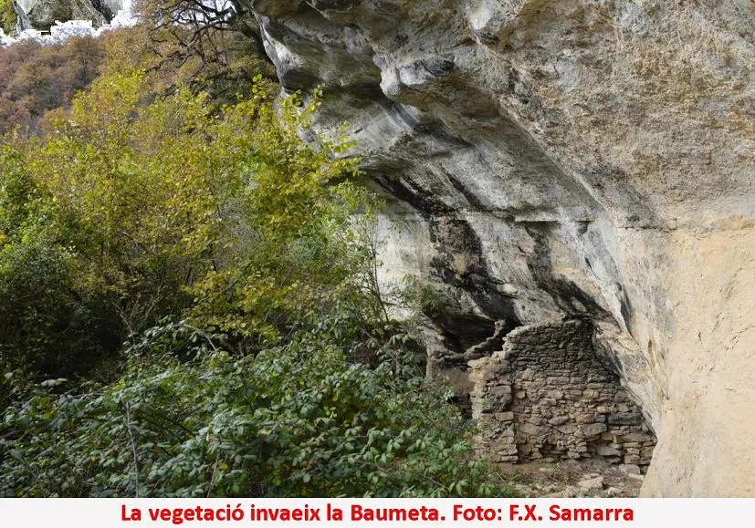 Photographie de BAUMETA, LA (3 sur 3)
