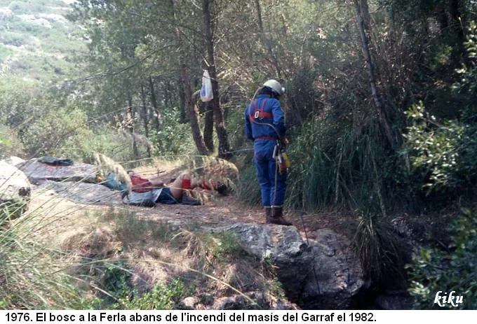 Fotografia de FERLA, AVENC DE LA (2 de 12)