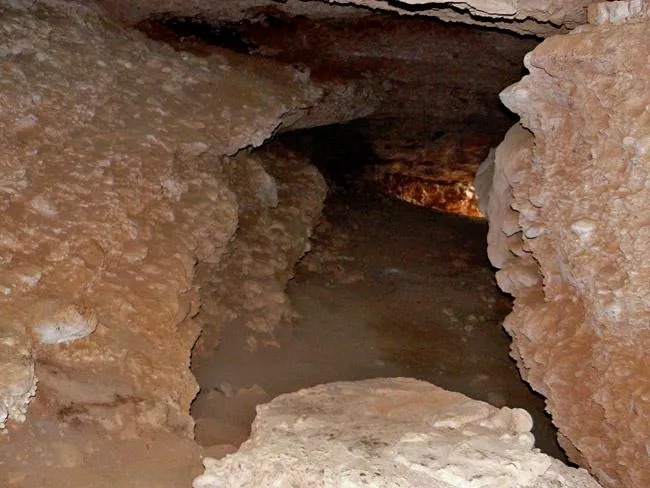 Photographie de TORALLA, COVA DE (4 sur 5)