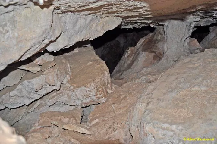 Fotografia de MAS VILAR, COVA DE (3 de 4)