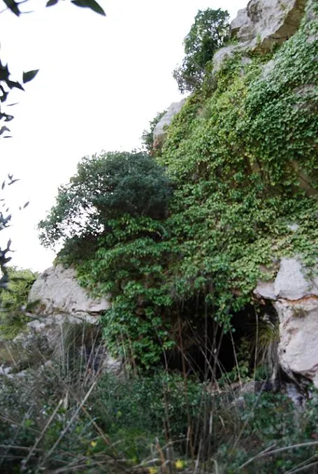 Photograph of CARXOL, COVA DEL (1 of 5)