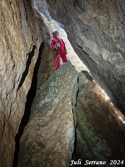 Fotografia de MATA, COVA D'EN (11 de 13)
