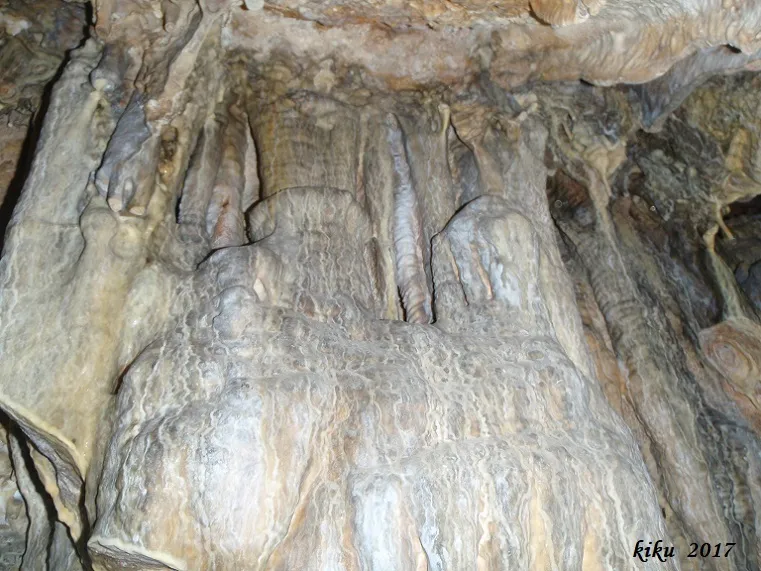 Fotografia de FOSCA DE VILANOVA, COVA (3 de 9)