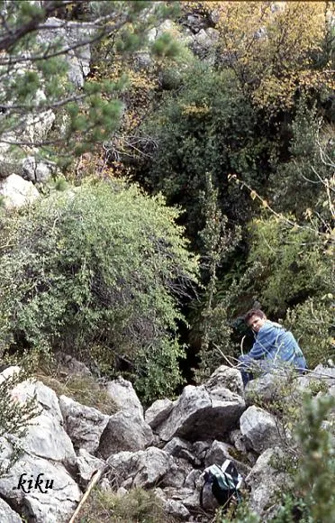 Fotografía de COLL DE LA CREU, AVENC DEL (1 de 3)