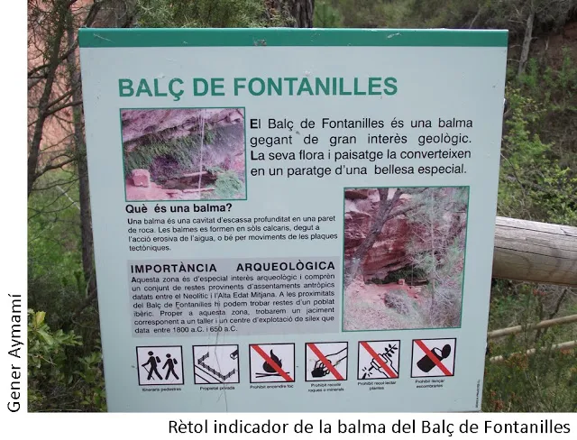 Photographie de BALÇ DE LES FONTANILLES, BALMA (1 sur 3)