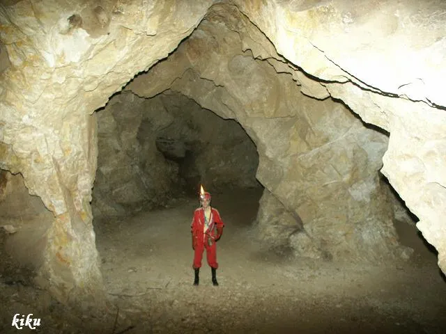 Photograph of PASTERAL, COVA DEL (5 of 9)