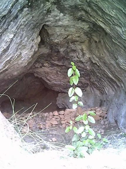 Fotografia de DUC, COVA DEL (2 de 2)