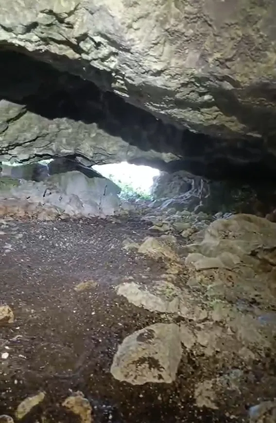 Fotografía de TORRENT DELS CORTILS, COVA DEL (3 de 6)