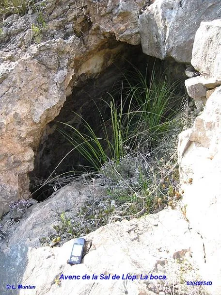 Photographie de SAL DE LLOP, AVENC DE LA (2 sur 8)