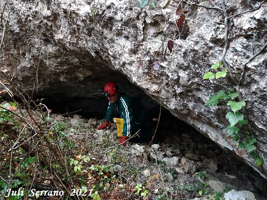 Photographie de CINGLE DE PUIGXIQUET, COVA DEL (2 sur 5)