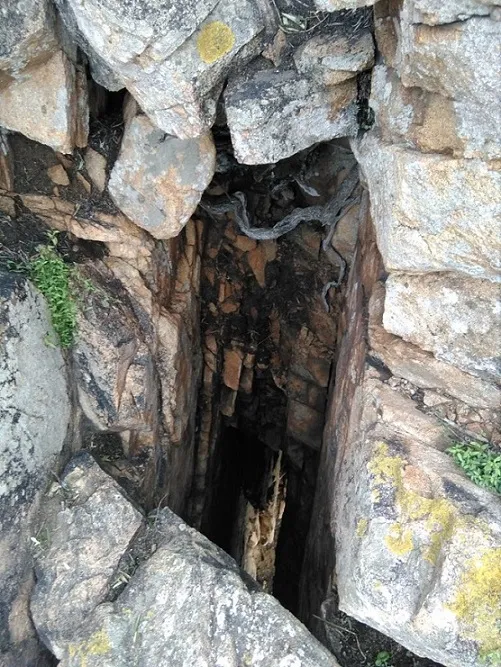 Photograph of VITAIA, COVA ALTA D'EN (1 of 4)
