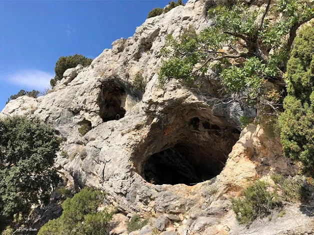 Fotografía de BENAIXA, COVA (1 de 4)