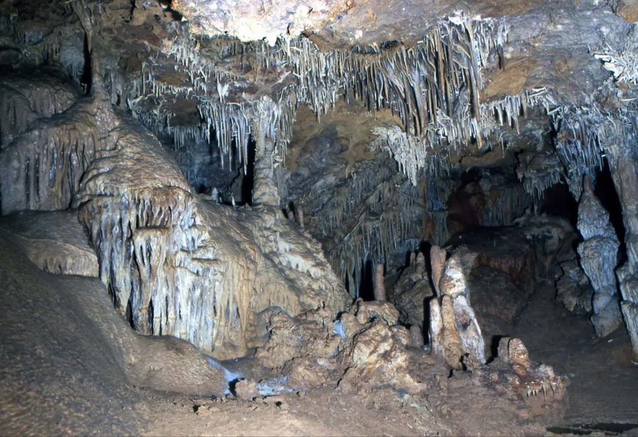 Fotografia de MARIGOT, COVA (3 de 10)