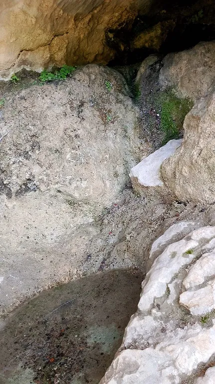 Fotografia de COMARQUES, COVA DE LES (4 de 5)