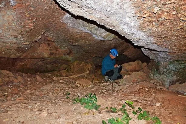 Fotografia de FONT DE LA GUILLOTERA, BALMA DE LA (3 de 3)