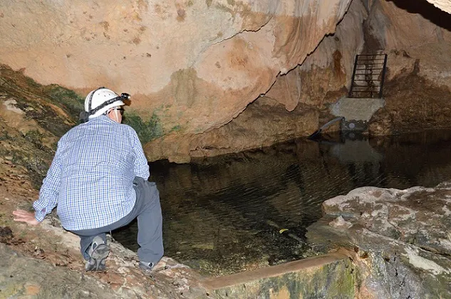 Fotografia de XIMET, COVA D'EN (5 de 7)