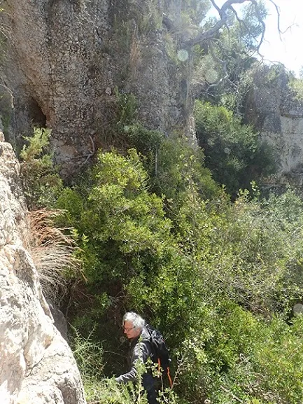 Fotografía de CAN PONÇGEM, COVA Nº 3 DE (1 de 3)