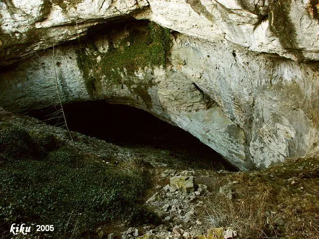 Photographie de GEL, FORAT DEL (2 sur 9)