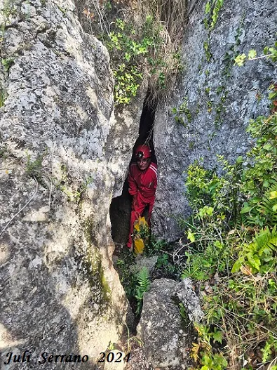 Fotografia de CINGLE DELS PINS ALTS, COVA DEL (3 de 8)