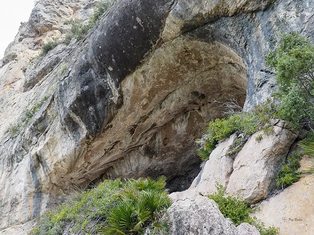 Fotografía de PORTADORA, COVA DE LA (1 de 3)
