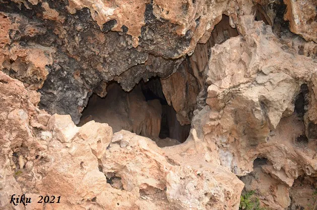 Fotografia de PEDRERA, AVENCÓ DE LA (1 de 5)