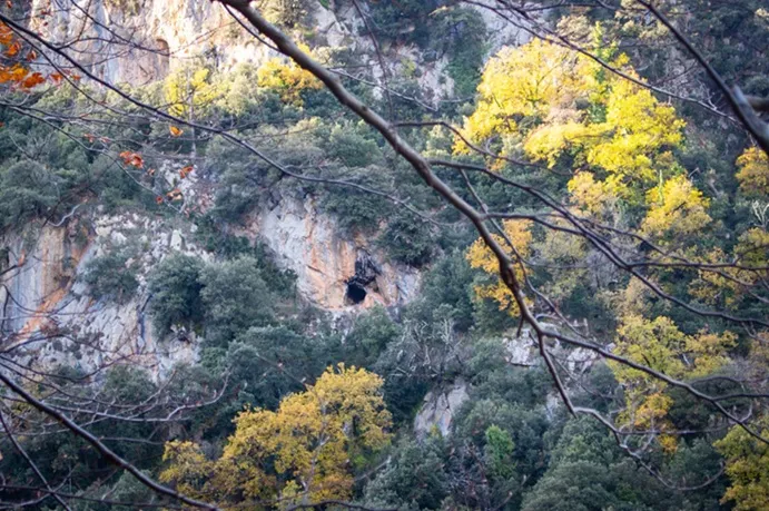 Photograph of VIUDA, COVA DE LA (1 of 4)