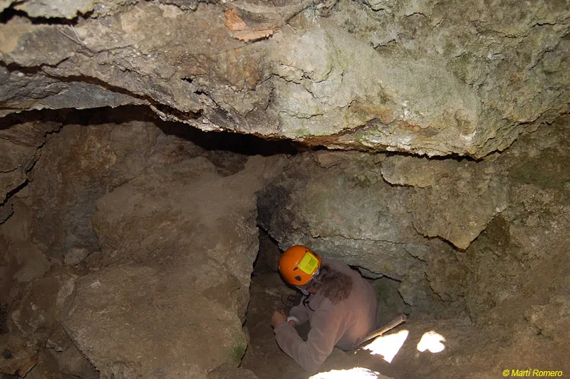 Fotografia de CASTELL DE PALMEROLA, COVA DEL (3 de 8)