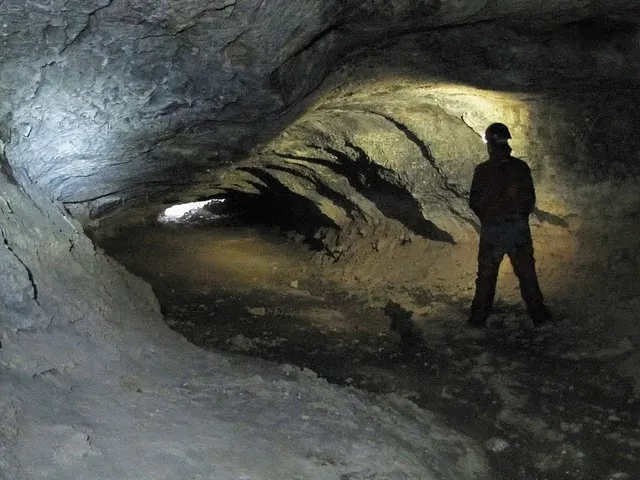 Fotografía de TERRERA, COVA (2 de 7)