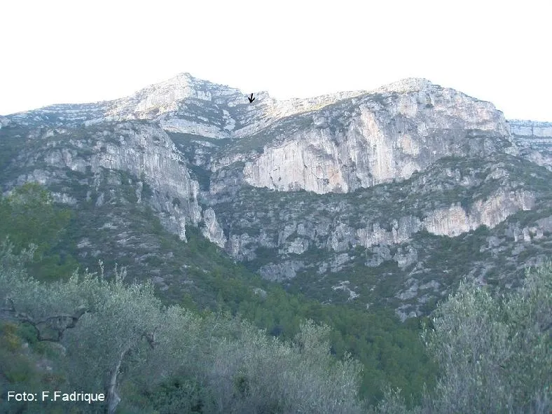 Fotografia de BONICA, COVA (1 de 18)