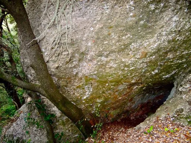 Fotografia de CANAL DE CAN POBLA, COVA DE LA (1 de 1)