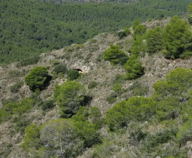 Photographie de BON JOAN, COVA DEL (2 sur 4)