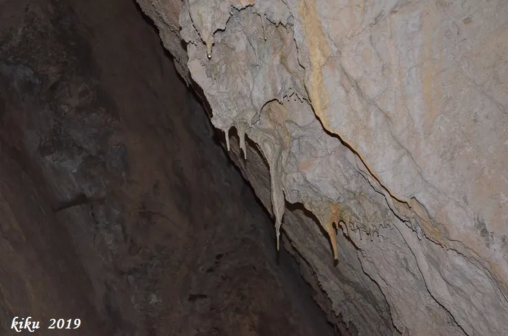 Fotografia de PAS DE L'OSCA, COVA DEL (9 de 9)
