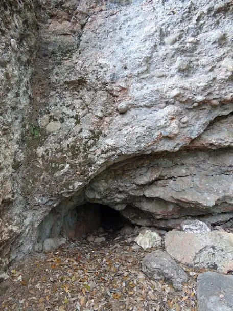 Fotografia de BELLOT, COVA (1 de 1)