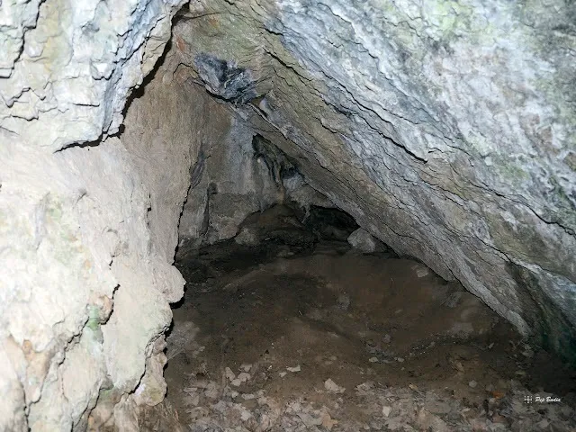 Fotografia de BARRANC DE LES TOSQUES, COVA DEL (2 de 2)