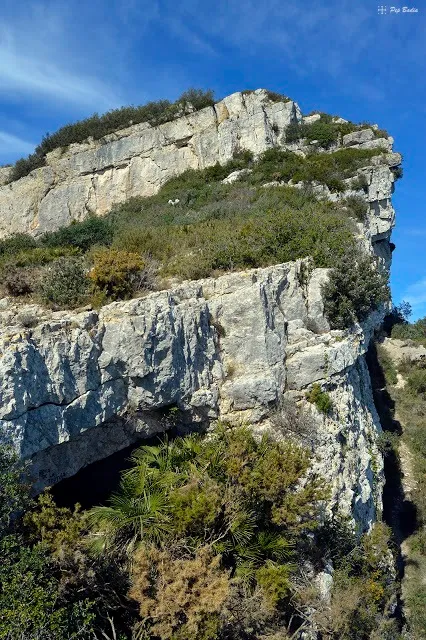 Photograph of TORTUGA, COVA DE LA (2 of 4)