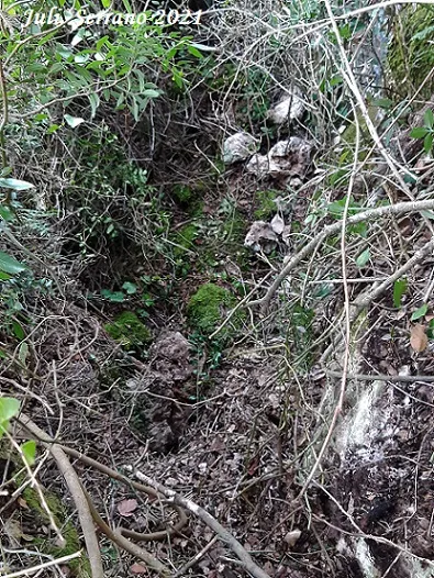 Fotografia de SERRA DEL MAS, AVENC SM-27 DE LA (1 de 5)